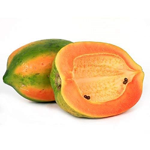 Fresh Papaya medium, 1 Piece - Image 3